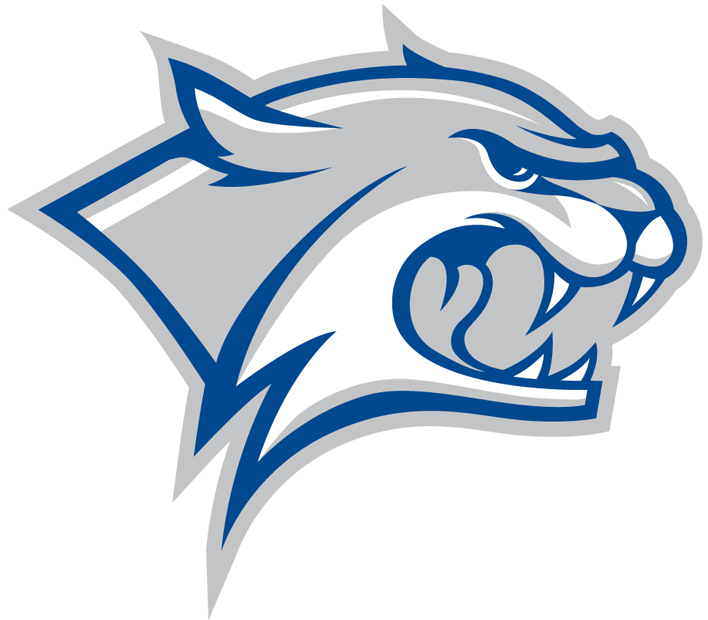 New Hampshire Wildcats 2000-Pres Partial Logo DIY iron on transfer (heat transfer)